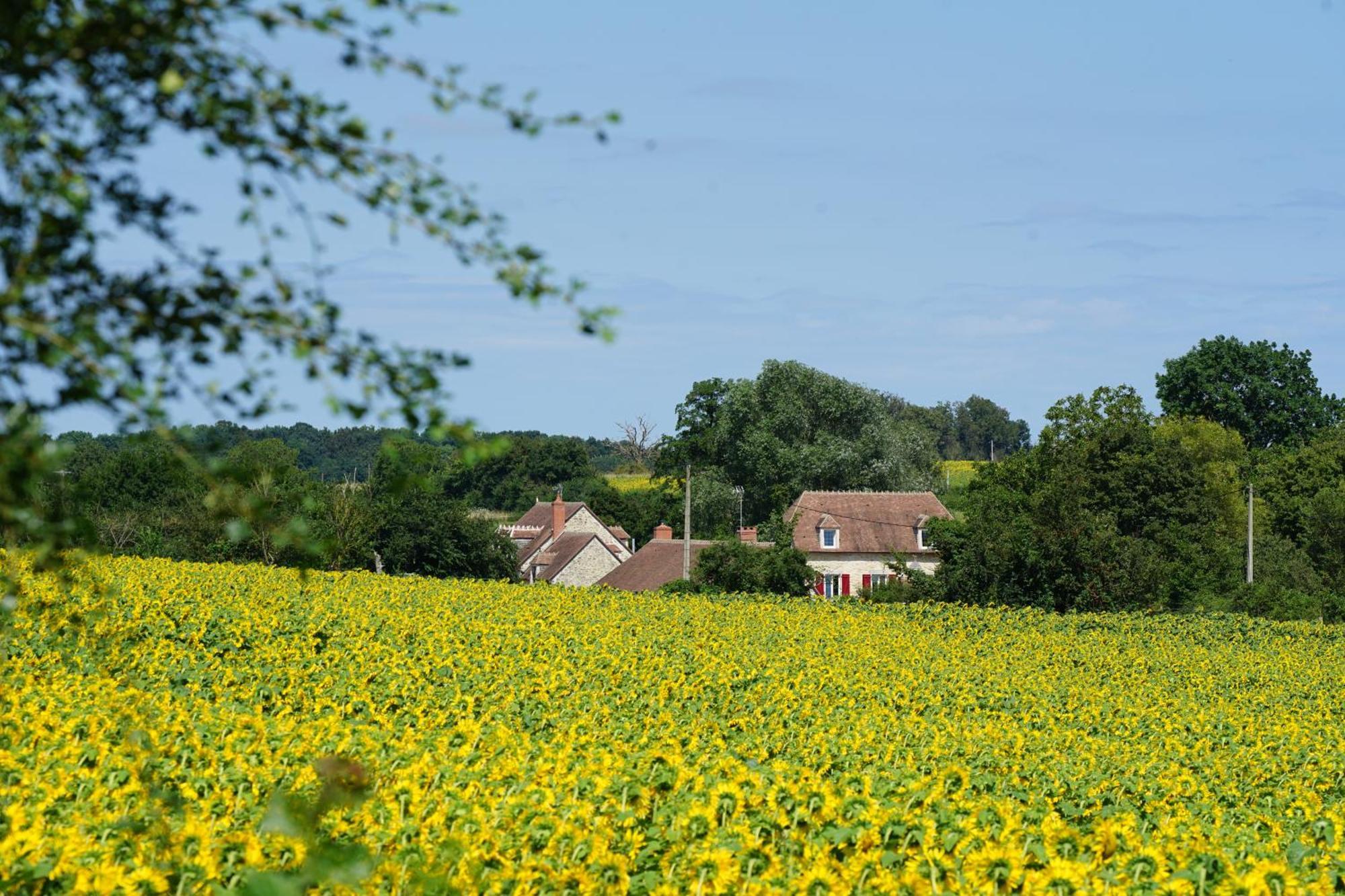 Moulin De Petoulle Locanda